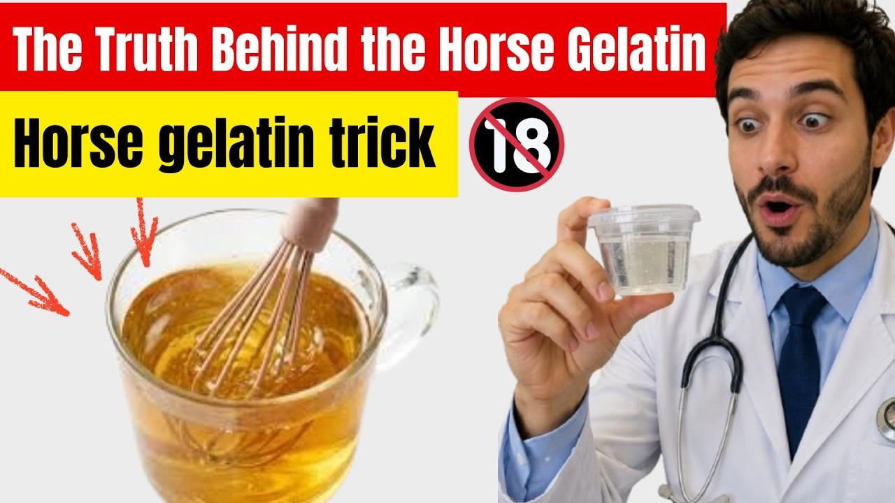 Horse Gelatin Reviews: Which One Offers The Best Value?