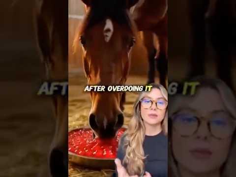 Horse Trick For Men: The Questions Everyone Is Asking