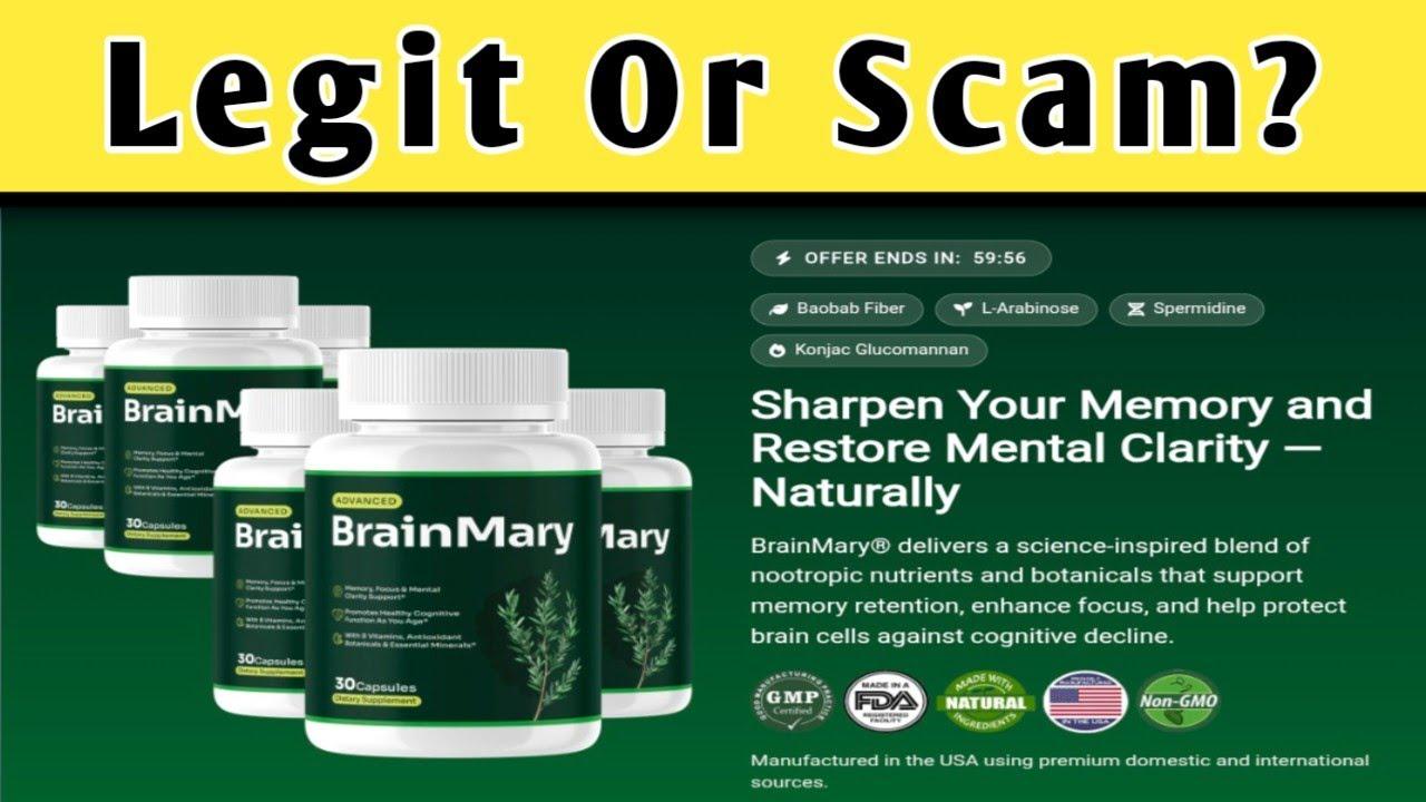 BrainMary Research: Is There Scientific Support for the Claims?