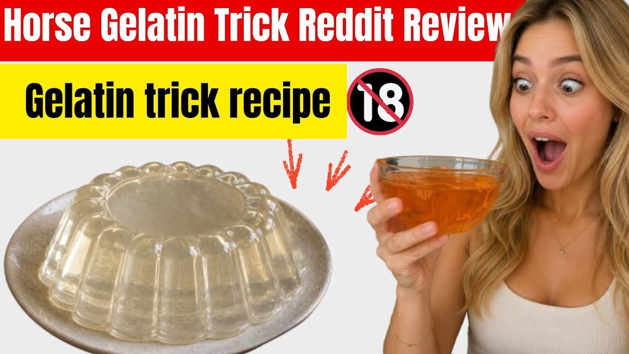 Horse Gelatin For Sale Online: What To Check Before Ordering